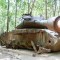 CUCHI TUNNELS AND SAIGON FULL DAY TOUR from 32 USD/person only